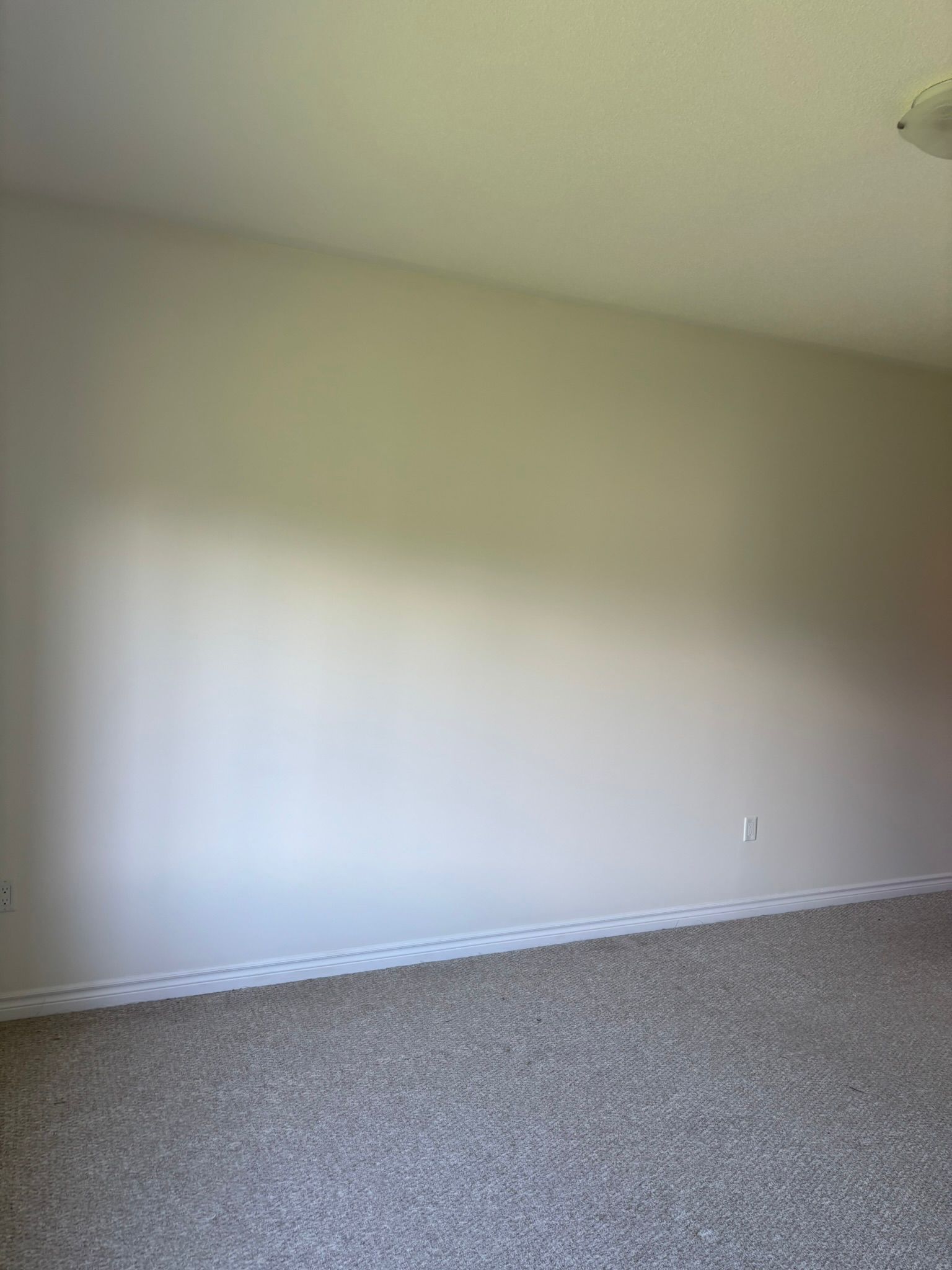 Painting Project